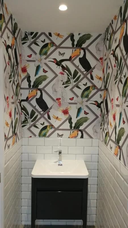 Papel de Colgadura Pájaros, Combinado con Geometría Fondo Blanco Rollo de 5,2m²